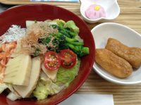 290411⑳春爛漫うどん