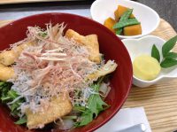 290511⑳茗荷とじゃこの冷しぶっかけきしめん