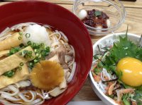 290612⑳冷し氷見うどん&シラス丼