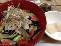 290607⑳豚しゃぶ夏野菜サラダきしめん