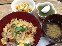 290725⑳うな玉丼