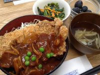 290904⑳デミカツ丼
