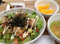 290901⑳鮭&アボガド丼